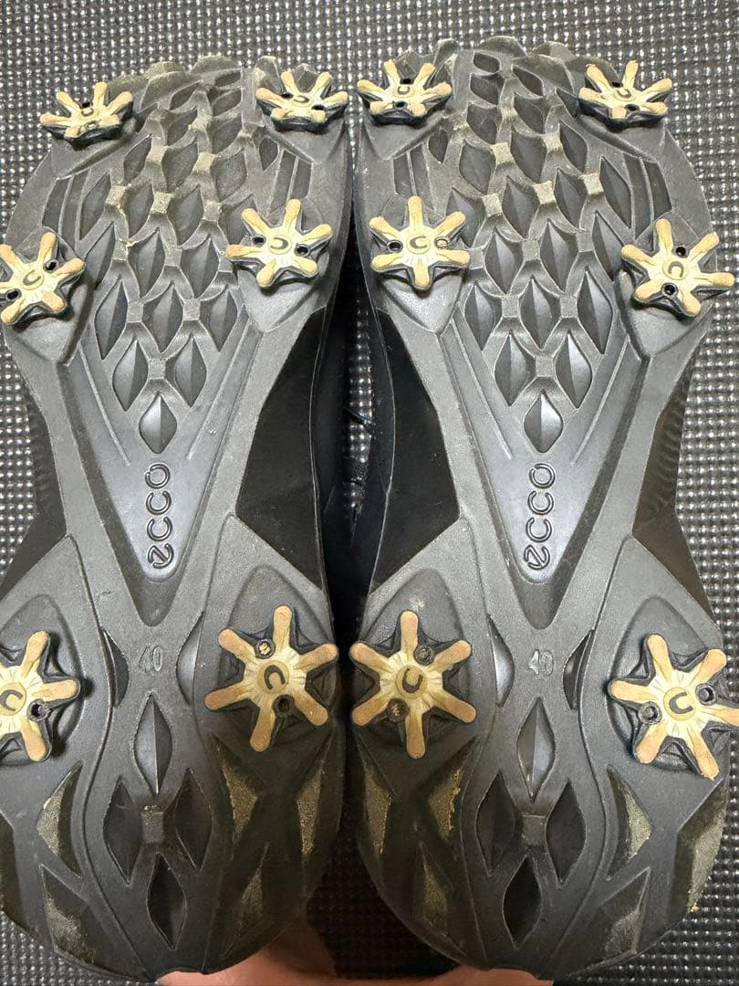 ecco(エコー) メンズ バイオム G5メンズ サイズ40(25cm)