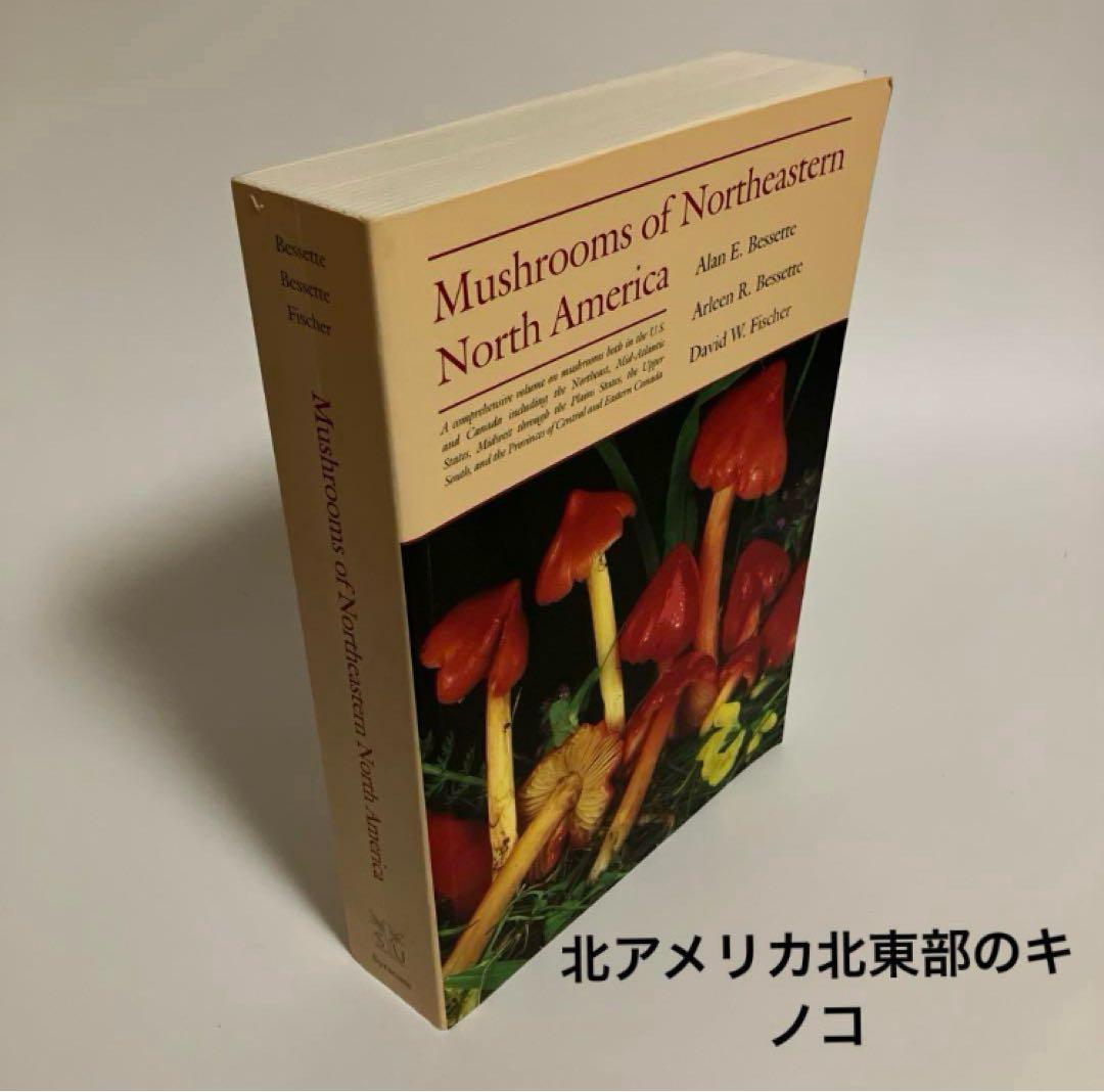 洋書　きのこ図鑑　北アメリカ北東部のきのこ