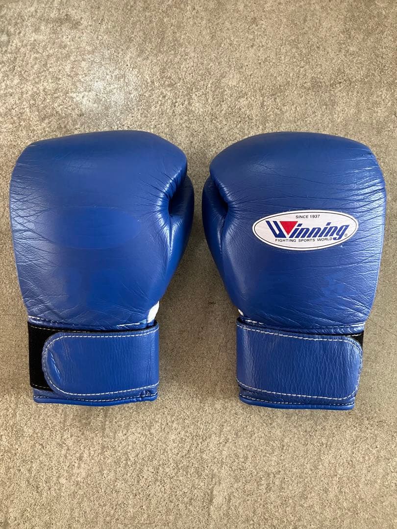 winning ウィニングボクシンググローブ ブルー 8オンス MS-200B