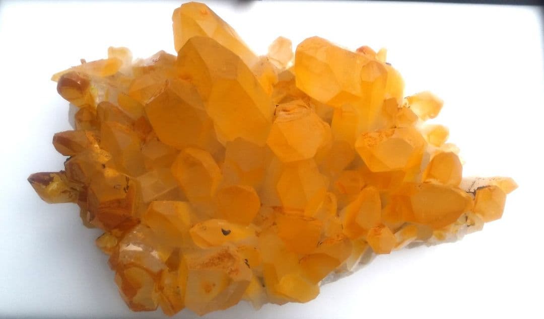 超希少 ゴールデンヒーラー クラスター ギャランティカード付き