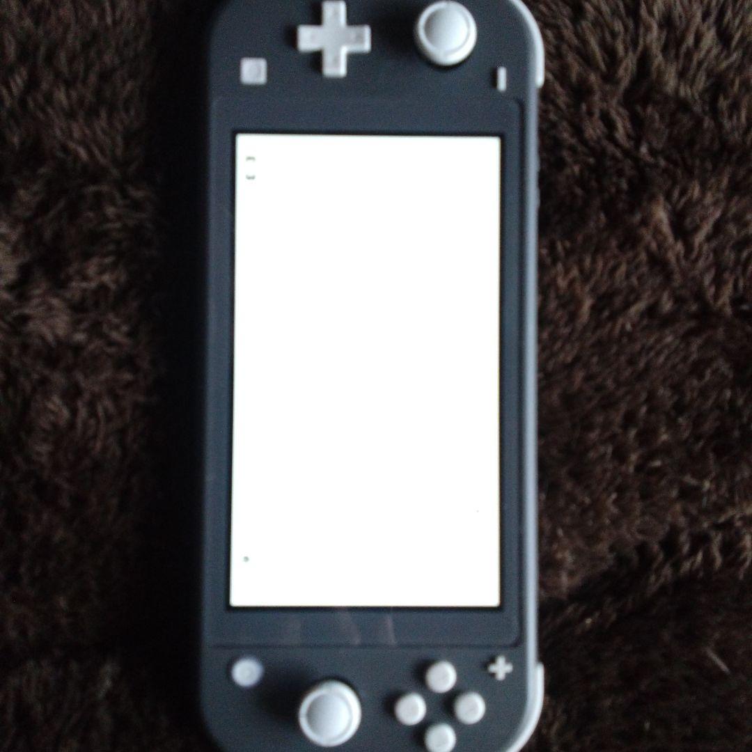 Nintendo Switch Lite グレー　ゲームソフト付き