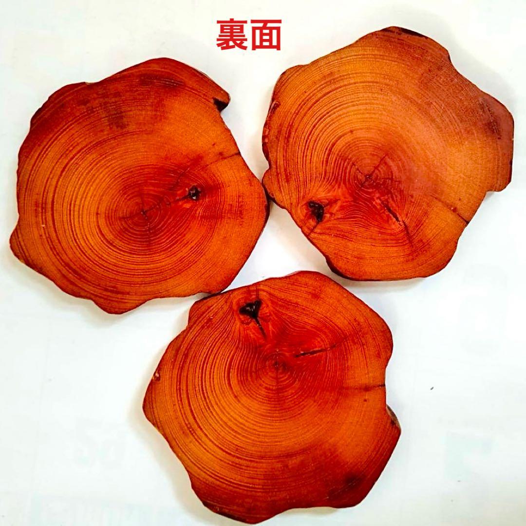 Borders様 リクエスト 5点 まとめ商品　輪切り　切り株　丸太　台座　花台