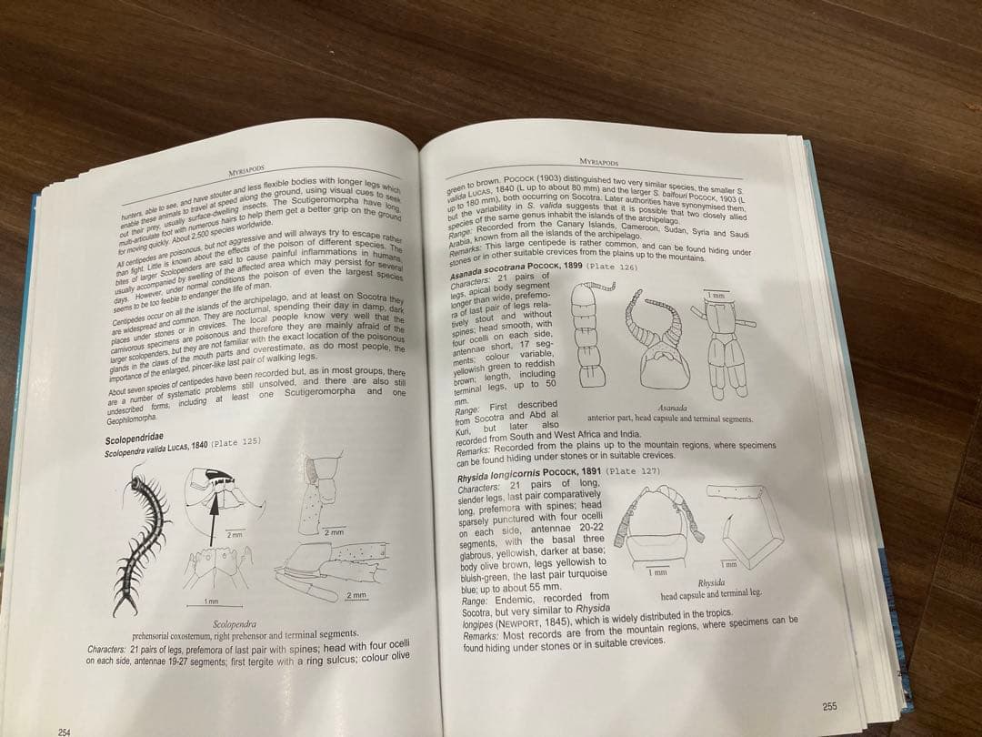 洋書 Fauna of the Socotra Archipelago Field