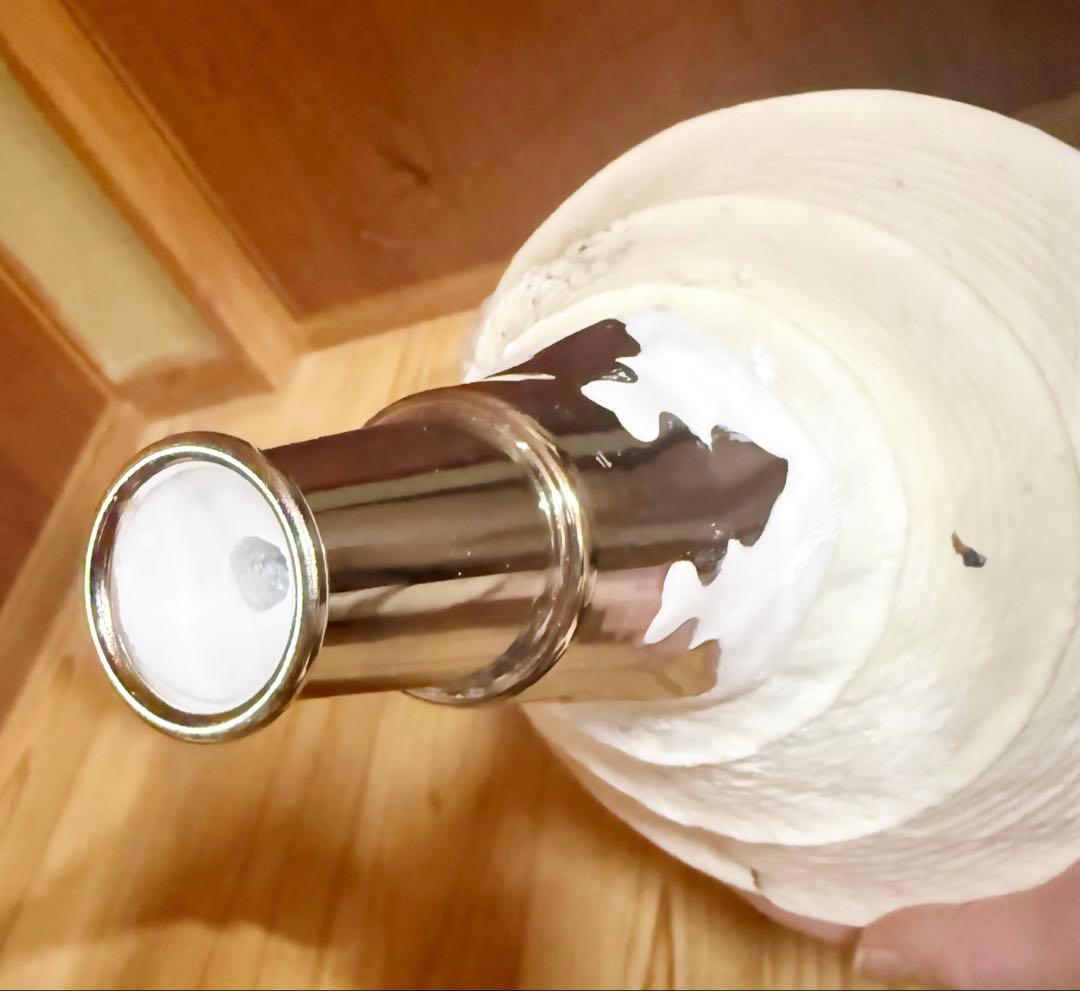 特大肉厚50㎝アラフラオオニシ法螺貝　ほら貝　ホラガイ❣️