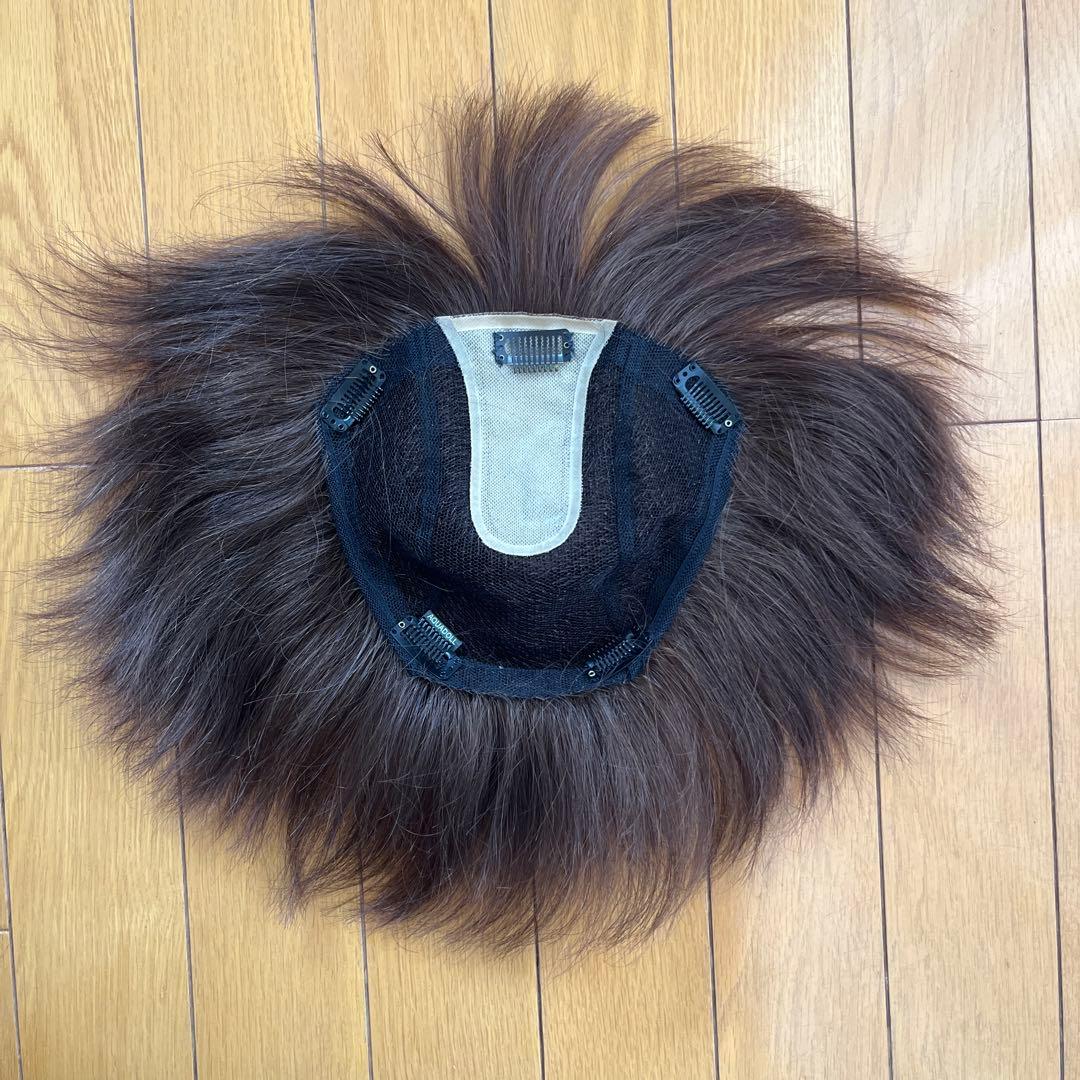 部分ウィッグ　アクアドール