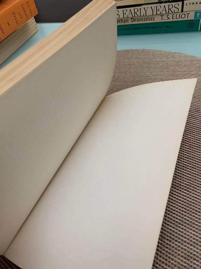 洋書 C. S. Lewis An Experiment in Criticism