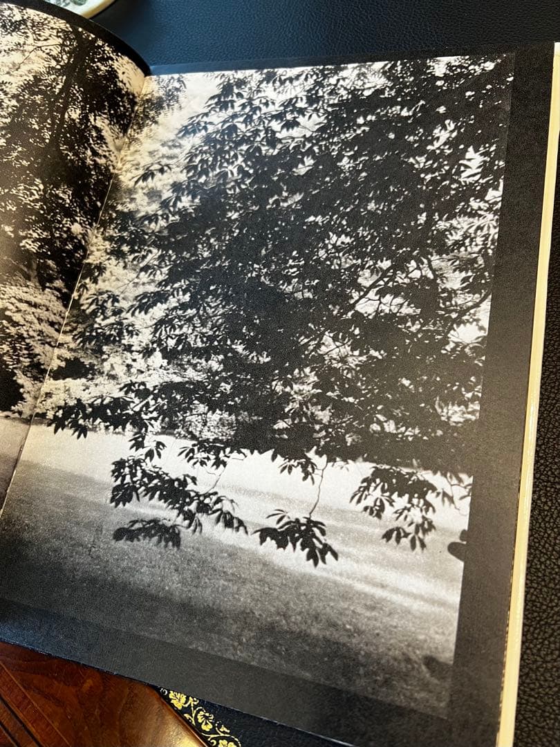 Josef Sudek /ヨゼフ・スデクの本