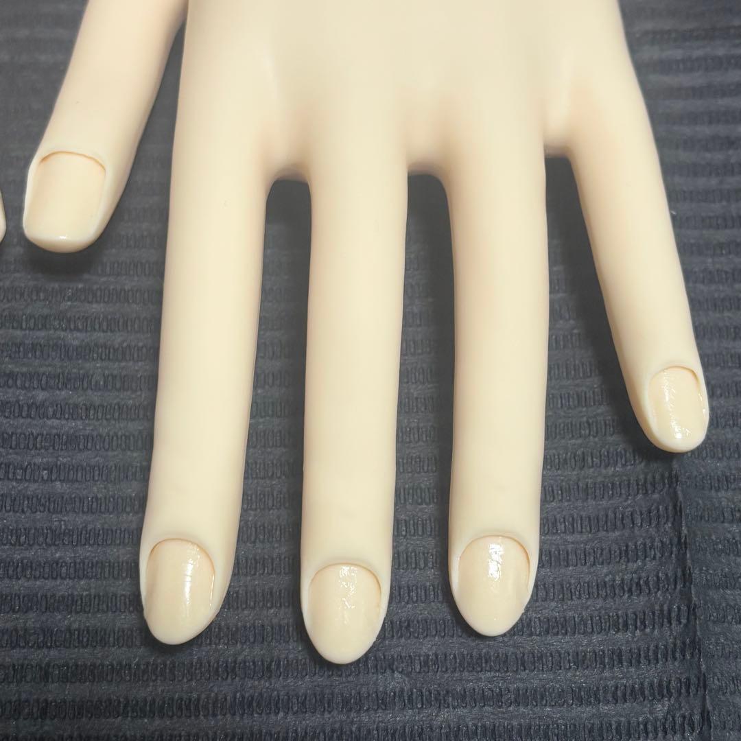 JNEC 認定 モデルハンド