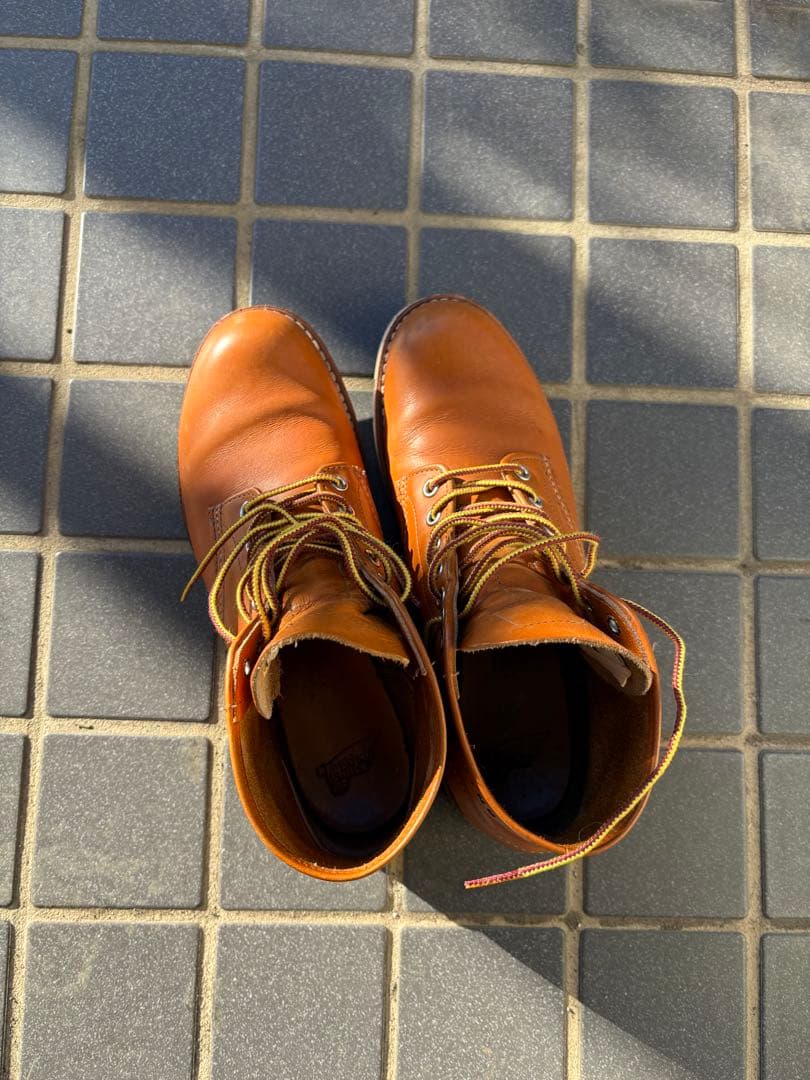 レッドウイング8D 9871 ゴールドラセット アイリッシュセッター