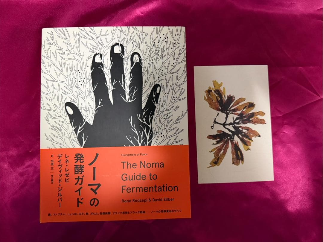 ノーマの発酵ガイド