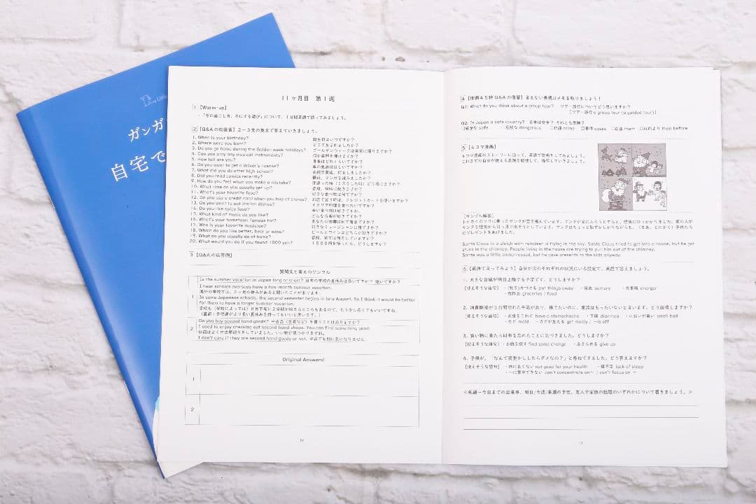 留学レベルの英会話力養成DVD 週1レッスン×1年間分　メールサポート付き