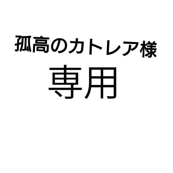 孤高のカトレア