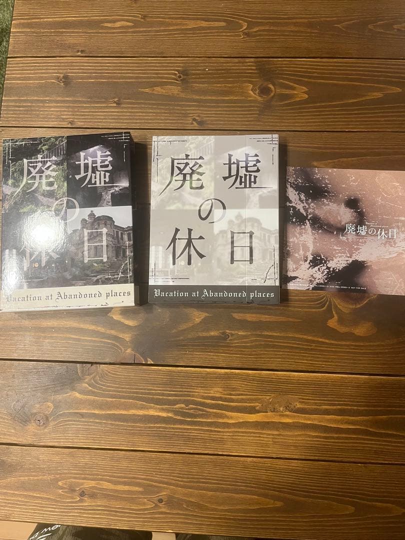 廃墟の休日 DVD