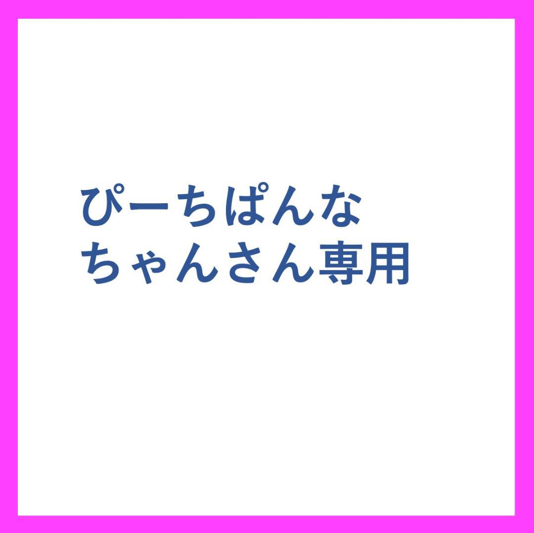 ぴーちぱんなちゃん専用　5点