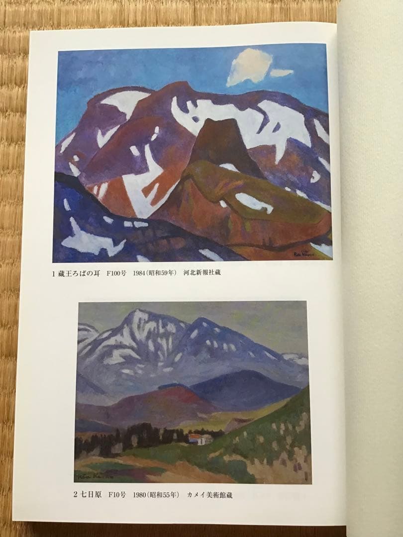 単行本　蔵王の画家 菅野 廉