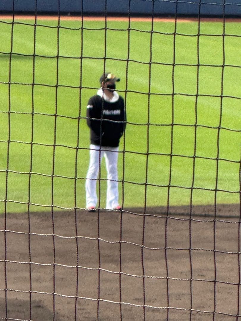 メ*6様 直筆サイン入り2024春季キャンプボール　伊藤大海　貴重！最多勝！最高