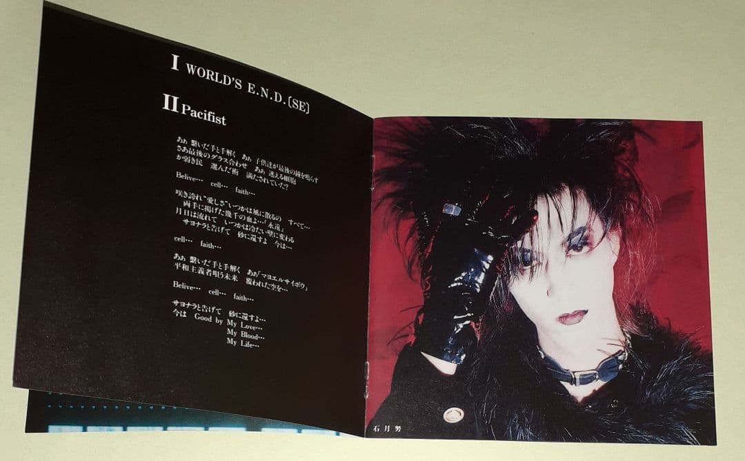 FANATIC◇CRISIS,太陽の虜,CDアルバム　※初回盤、オマケ写真付き