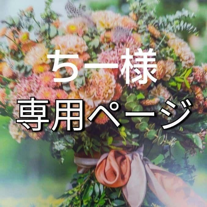 ちー（感謝）/5