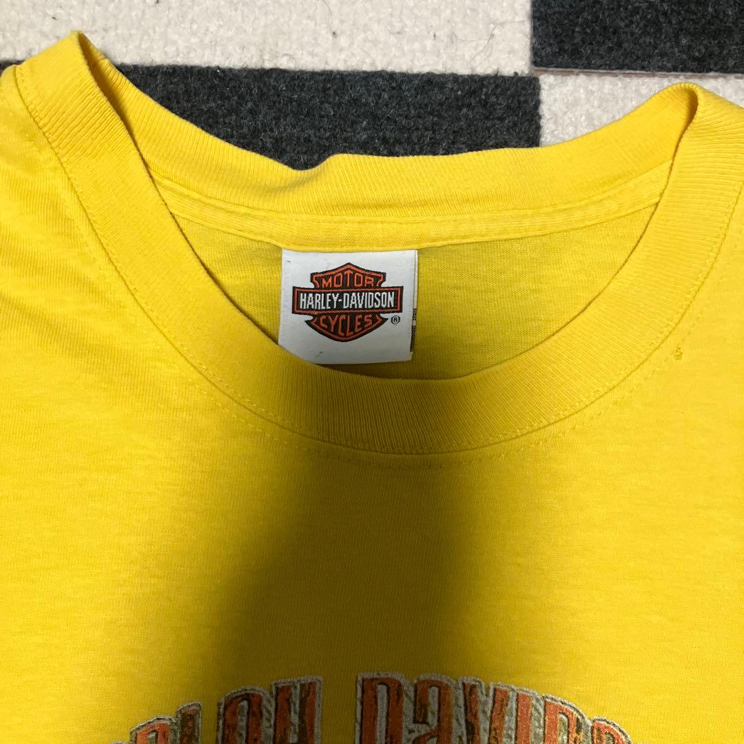 Harley Davidson ロンT usa製 袖プリ フレイムス