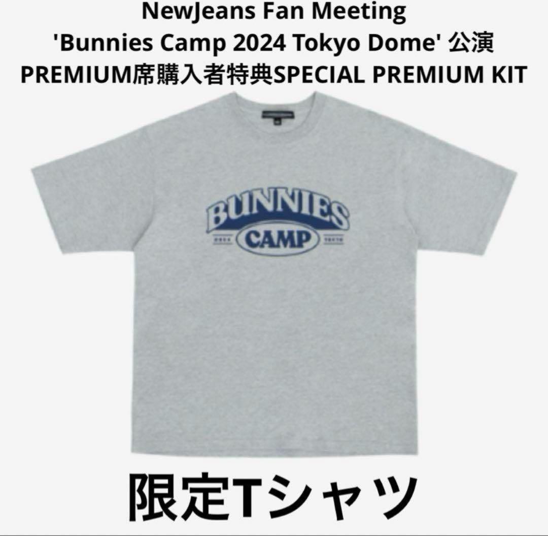 ニュージーンズ　newjeans トッキ bunnies まとめ売り