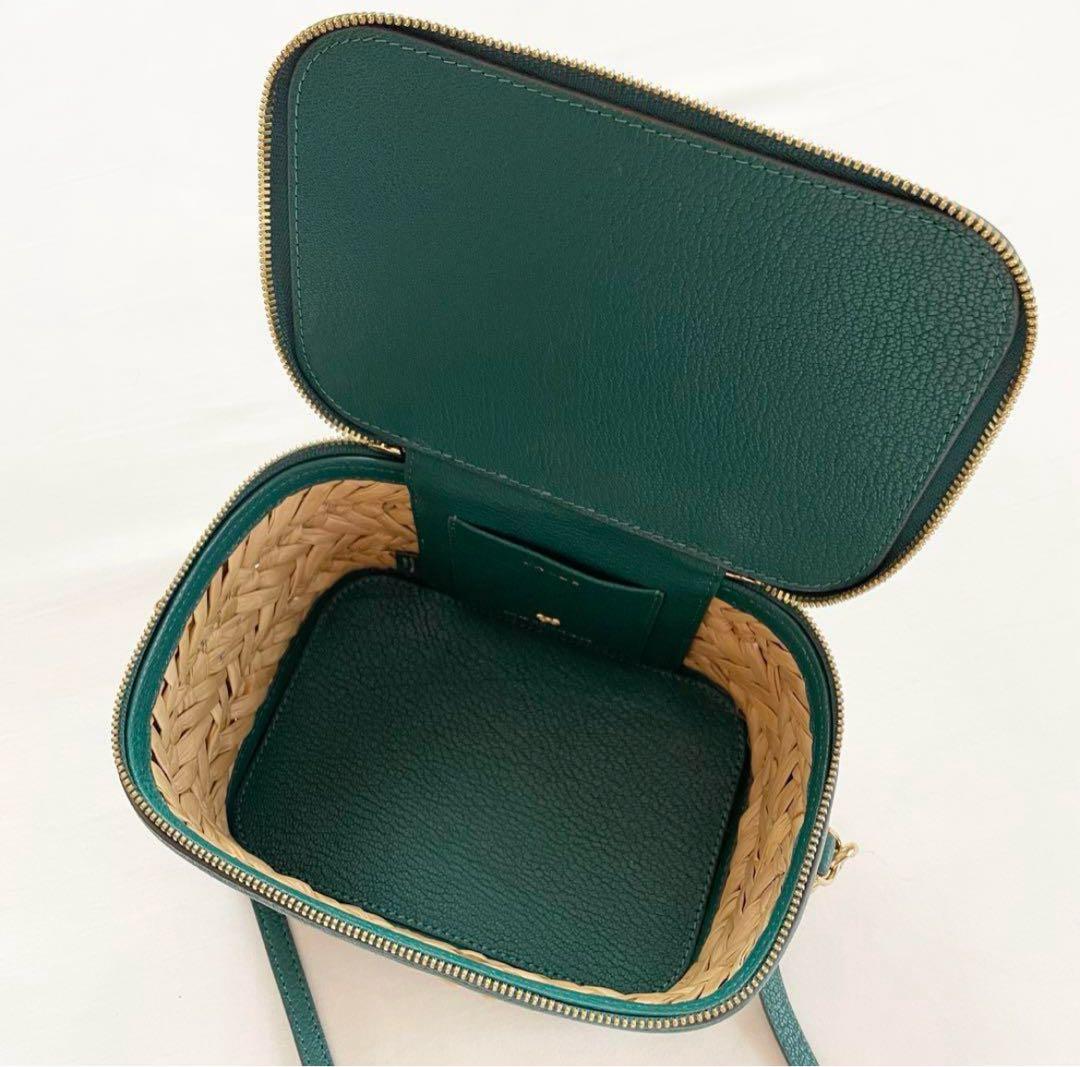 アニヤハインドマーチ　カゴバック　バニティ