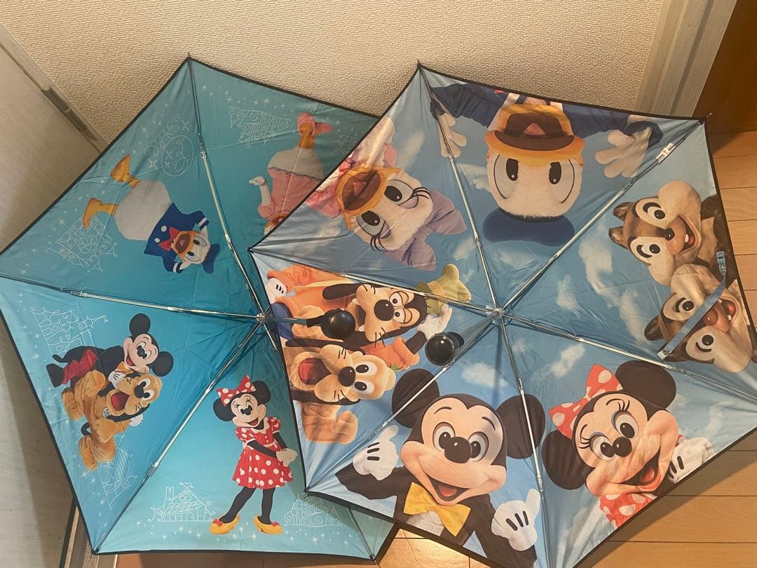 ディズニーリゾート 晴雨兼用傘 実写 セット