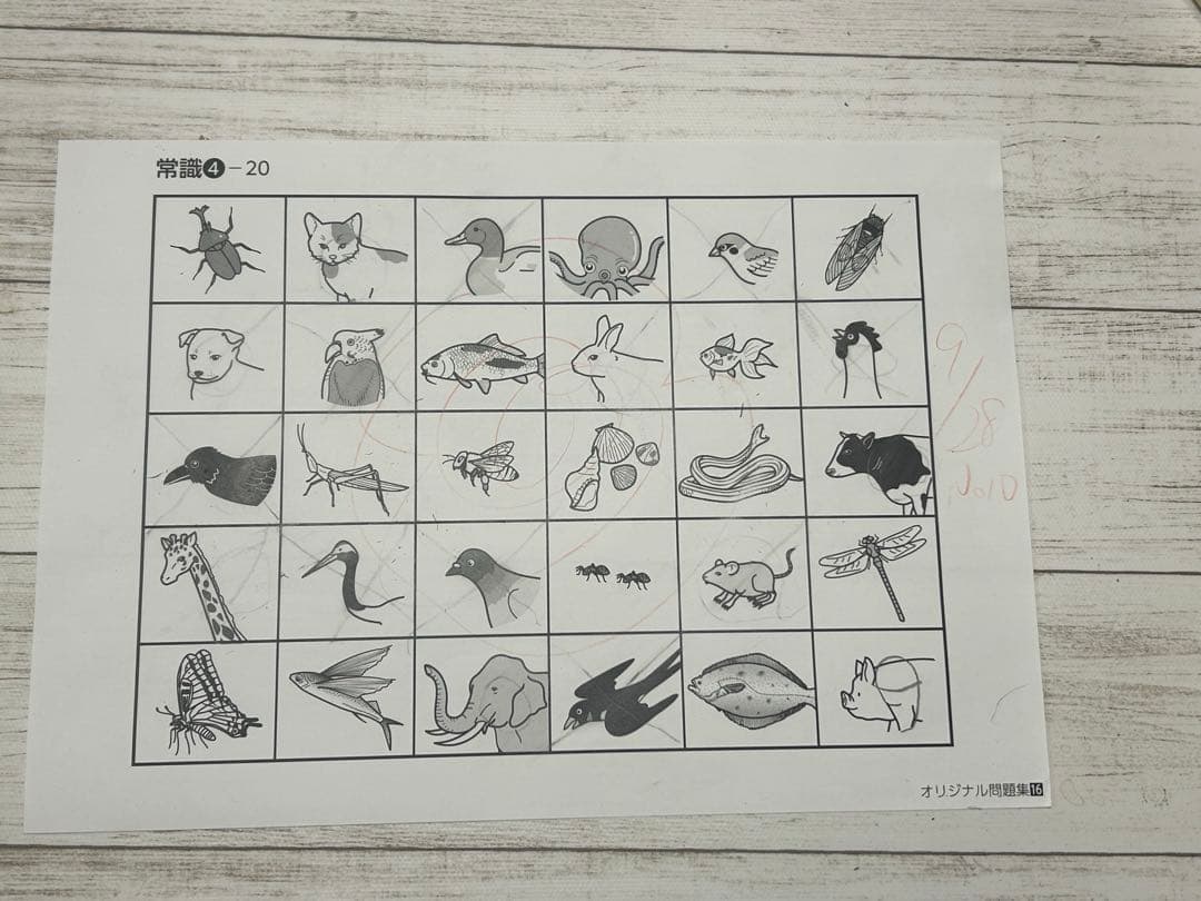 【値下げ】伸芽会オリジナル問題集　私立/国立小学校入試・合格シリーズ　全63冊