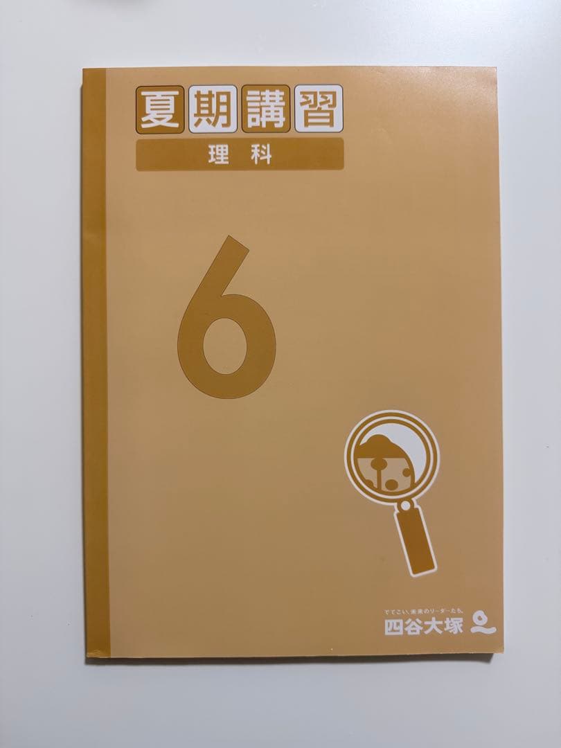 予習シリーズ　2025年夏期講習 6年 算数 国語 社会 理科テキスト　解答付き