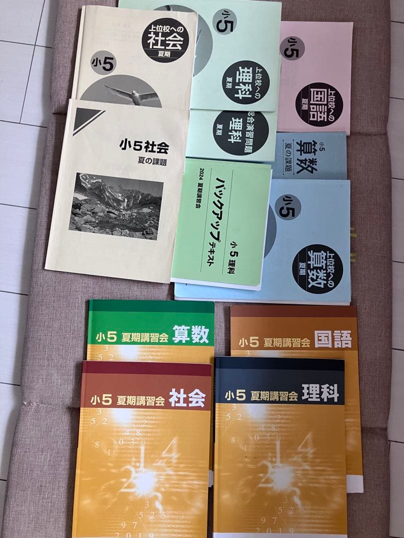 2026年受験済早稲田アカデミー小5 夏期講習会四科