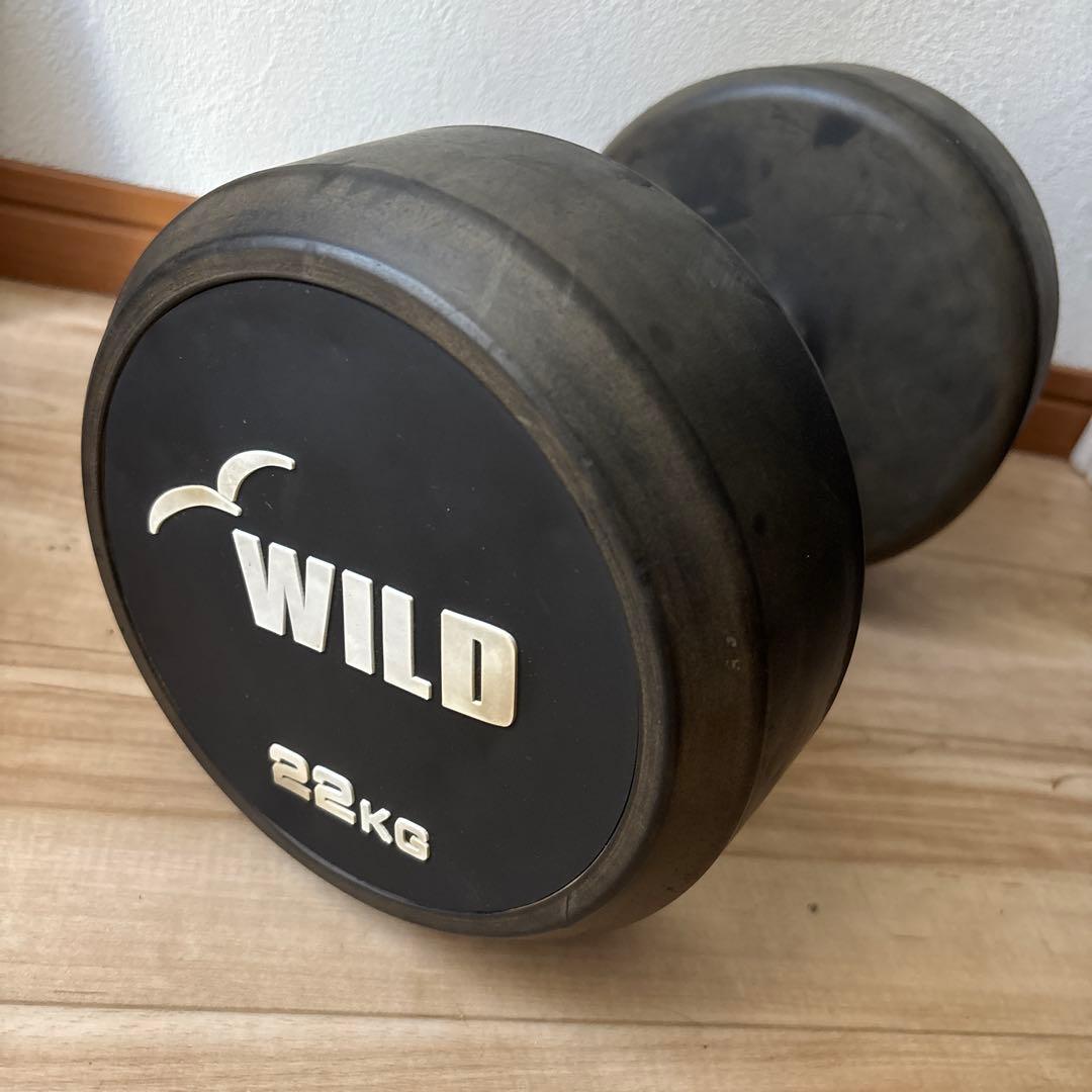 WILD 22kg ダンベル　1 状態良い　最安値