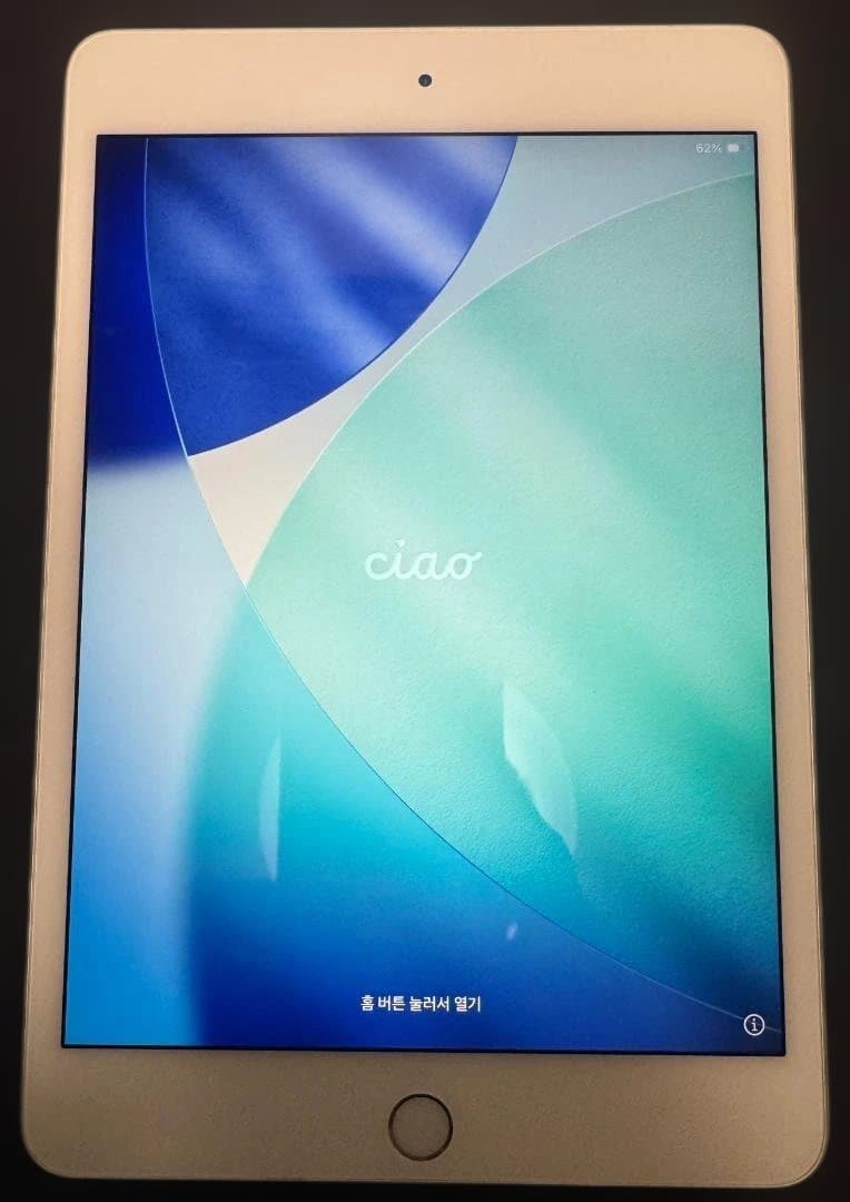 Apple iPad mini5 シルバー 本体