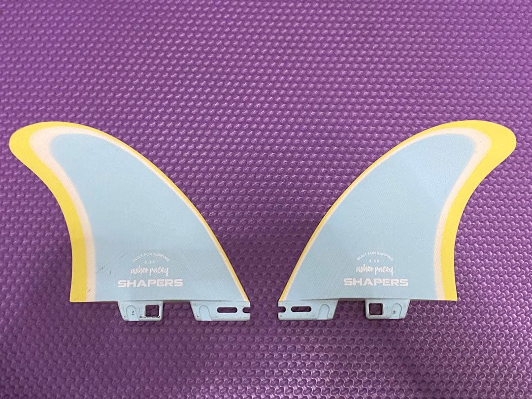 アッシャー・ペイシー fc2 ツインフィン