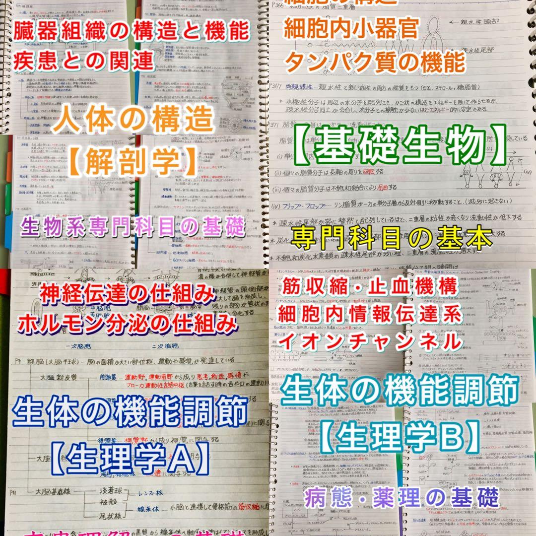医療系学科定期試験、国家試験対策まとめノート【生物系セット】