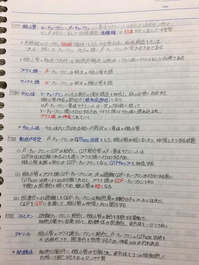 医療系学科定期試験、国家試験対策まとめノート【生物系セット】