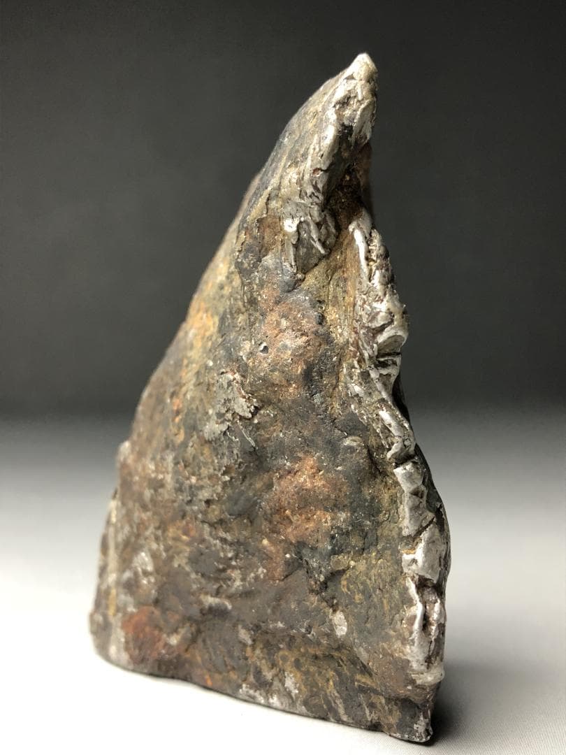 アルタイ隕石 鉄隕石　外皮付き隕石　エンドカット　原石　重さ約236ｇ