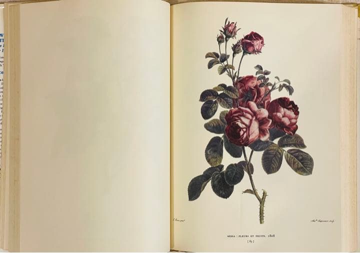 【大型本】FLOWER＆FRUIT PRINTS　ボタニカル