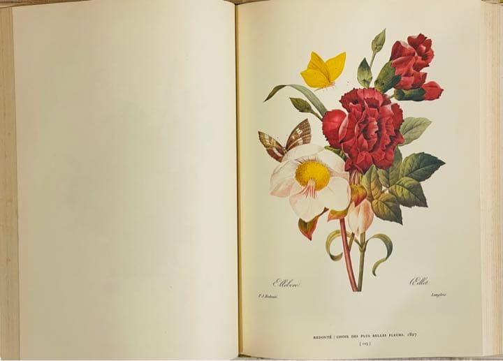 【大型本】FLOWER＆FRUIT PRINTS　ボタニカル