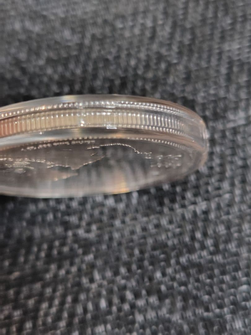 キングギドラ ゴジラ 銀製 40mm