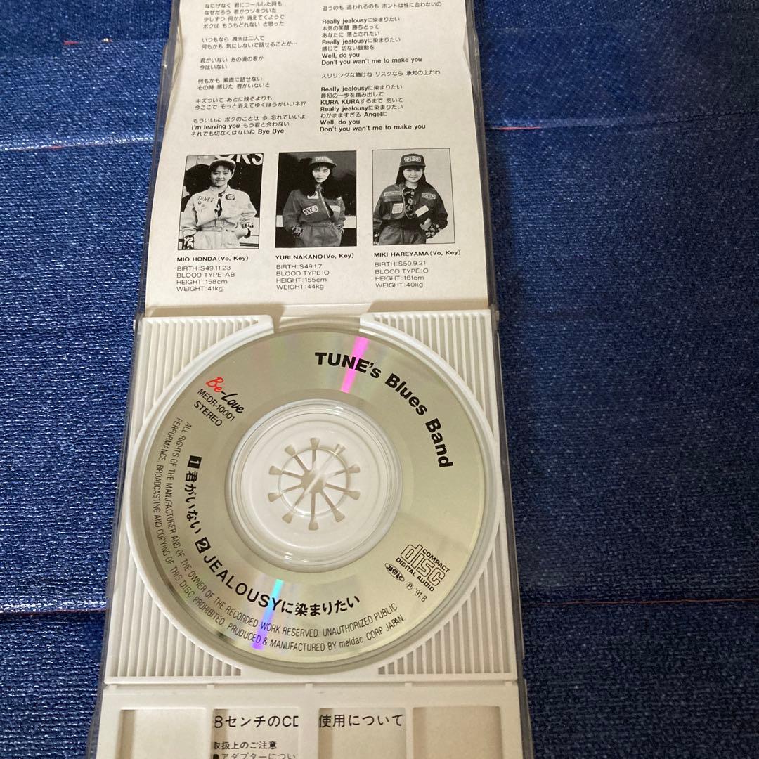 TUNE's Blues Band.君がいない ZARD 8センチ8cmシングル