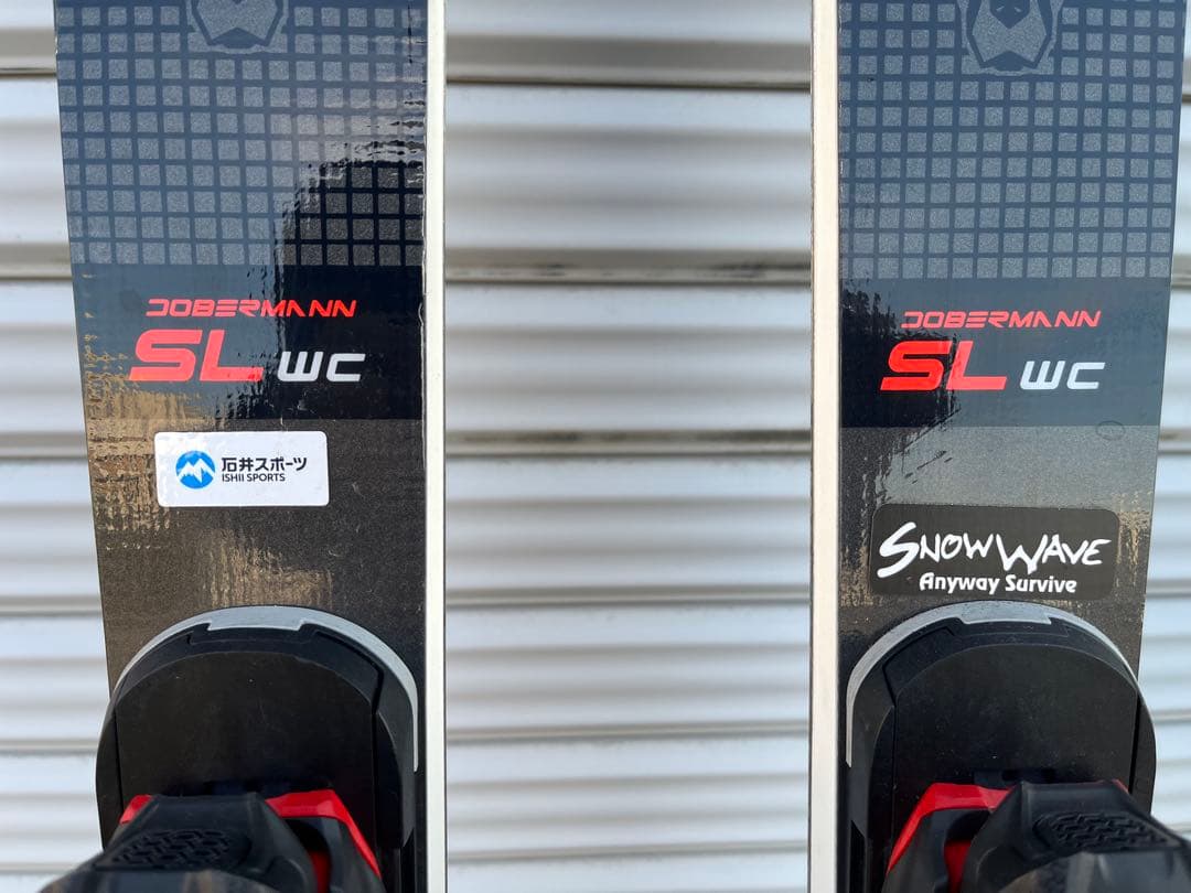 Nordica SL WC 165cm スキー