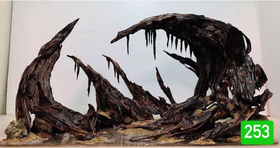 TTD 253【⭐︎ りょーま様⭐︎】【美品・数量限定】