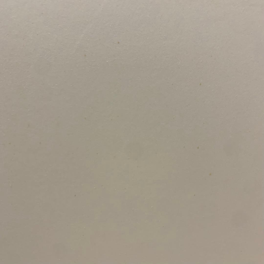 【美品】 茶道具 風炉先屏風 風炉先　総張 裏白　黒塗枠 雲鵬