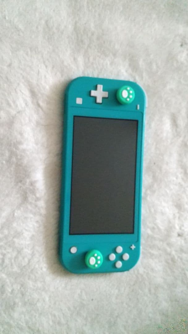ジャンク Nintendo Switch Lite ターコイズ