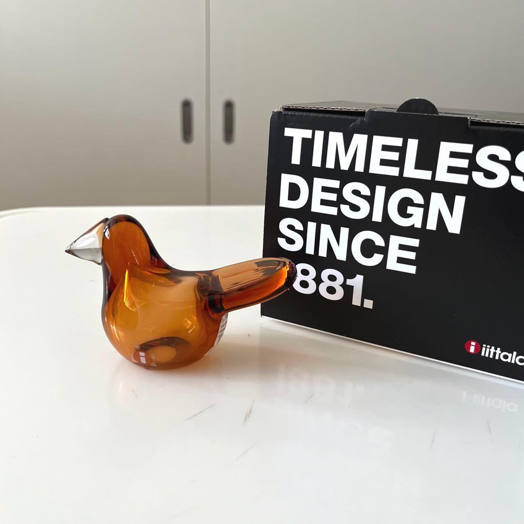 【廃盤品】2015年スコープ別注★イッタ／Sieppo・シエッポ