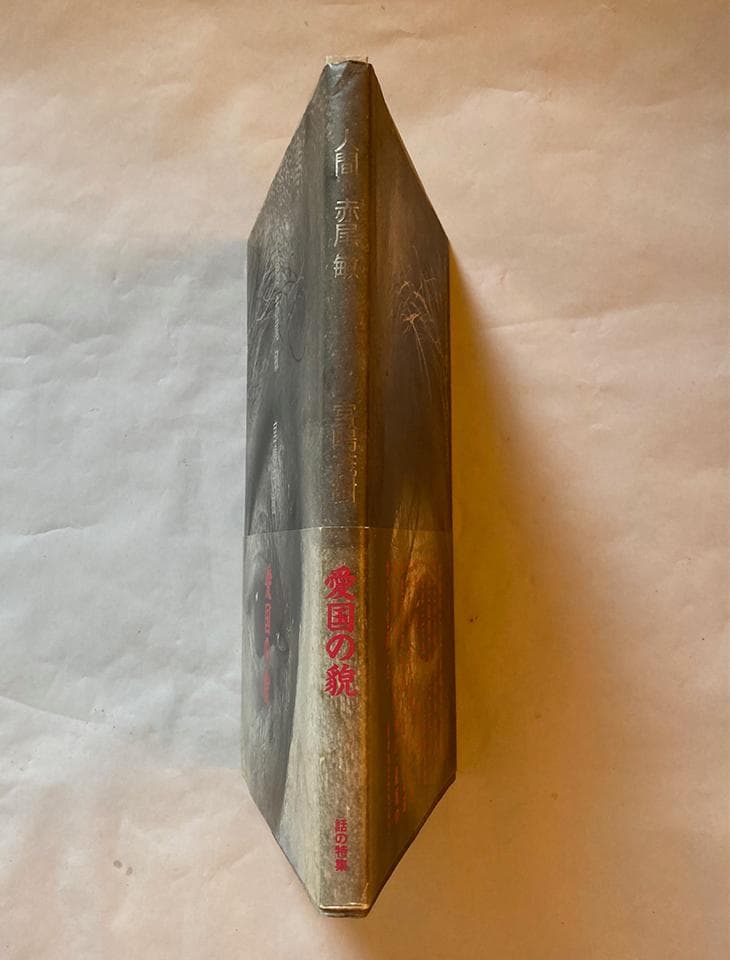 写真集 人間 赤尾敏/宮嶋茂樹