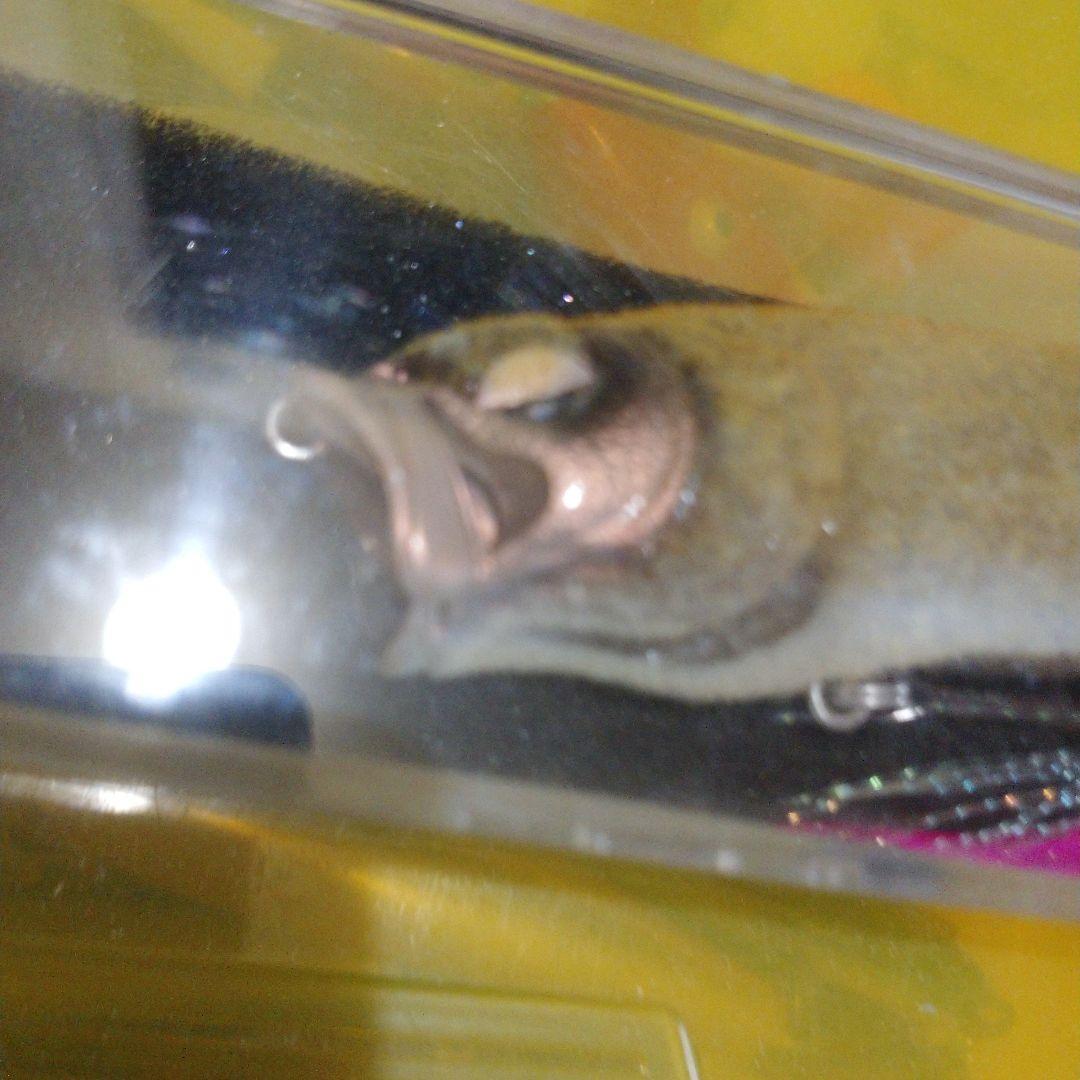 MEGABASS メガバス POPMAX 2004年干支限定 見申カラー