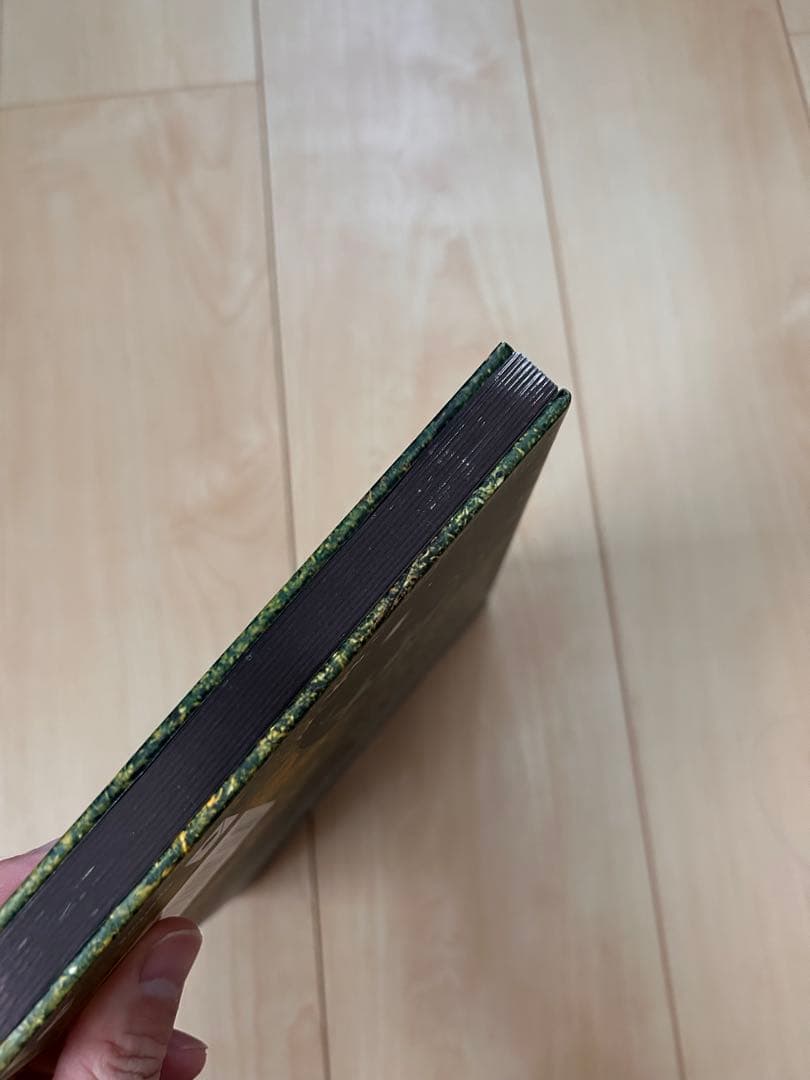 【希少】Satellitesジョナスベンディクセン　Bendiksen　写真集