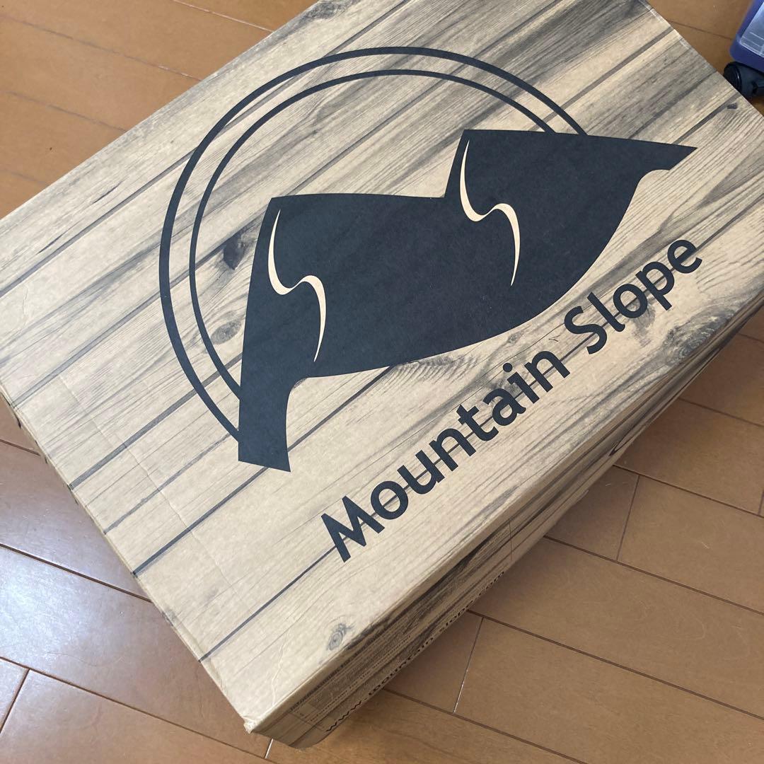 UPZ RCR 287mm アルペンボード ハードブーツ