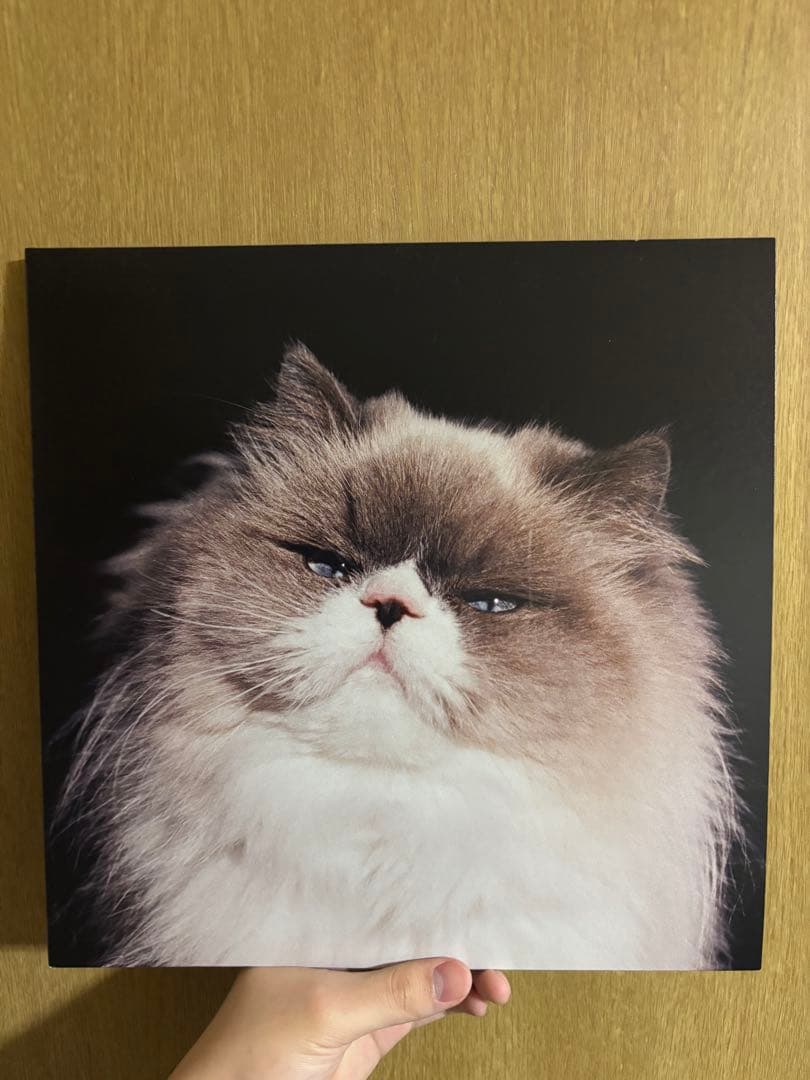 カネコアヤノ　レコードセット