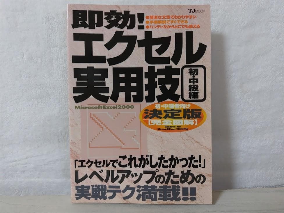 即効エクセル実用技 初・中級編 Microsoft Excel2000 gn
